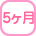 5ヶ月