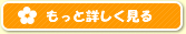 もっと詳しく見る