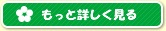 もっと詳しく見る