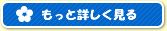 もっと詳しく見る