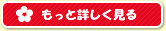 もっと詳しく見る
