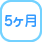 5ヶ月