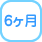 6ヶ月