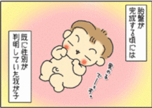 胎盤がいよいよ完成(妊娠4ヵ月) 胎盤がいよいよ完成(妊娠4ヵ月)