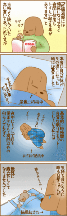 妊娠 初期 トイレ 近い