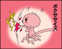 皮下脂肪がついて全身に胎毛(妊娠5ヵ月/妊娠中期) 皮下脂肪がついて全身に胎毛(妊娠5ヵ月/妊娠中期)