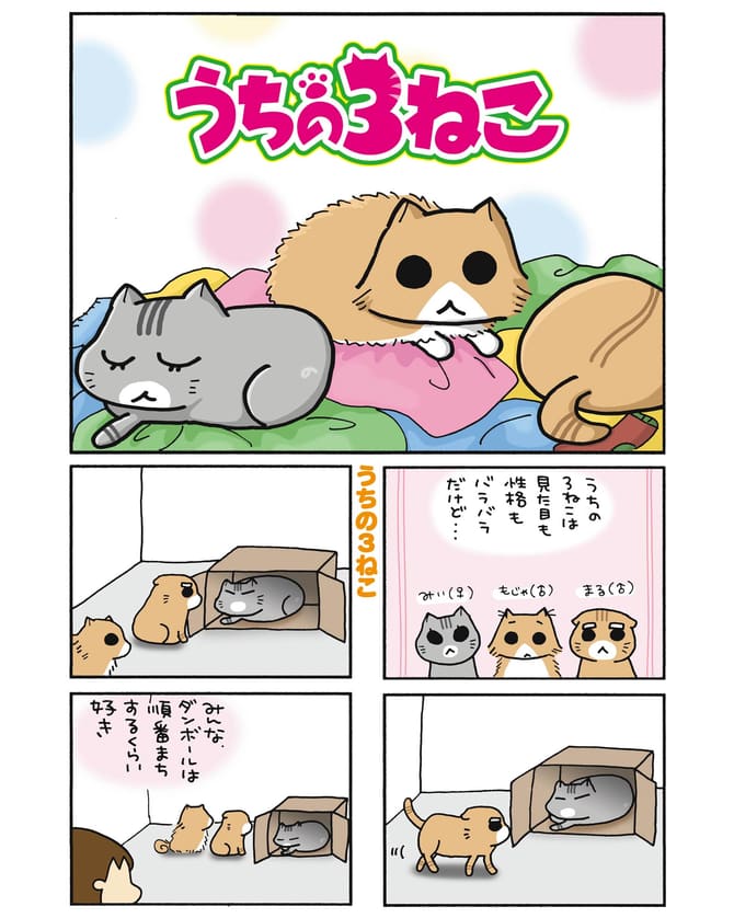 うちの３ねこ 第81話 タオルにつつまれた猫 タオルにつつまれた猫1 松本ぷりっつ すくすくパラダイスぷらす すくパラ倶楽部